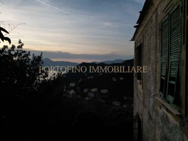 Villa Indipendente in vendita a Zoagli, Liguria