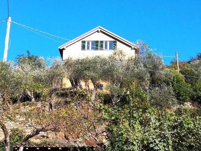 Villa Indipendente in vendita a Cerisola, Zoagli