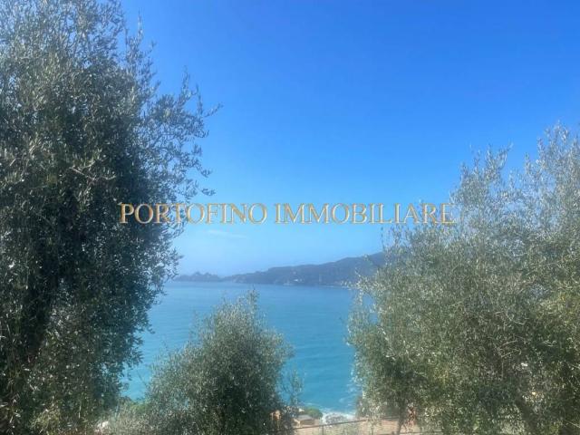 Villa Indipendente in vendita a Zoagli, Liguria