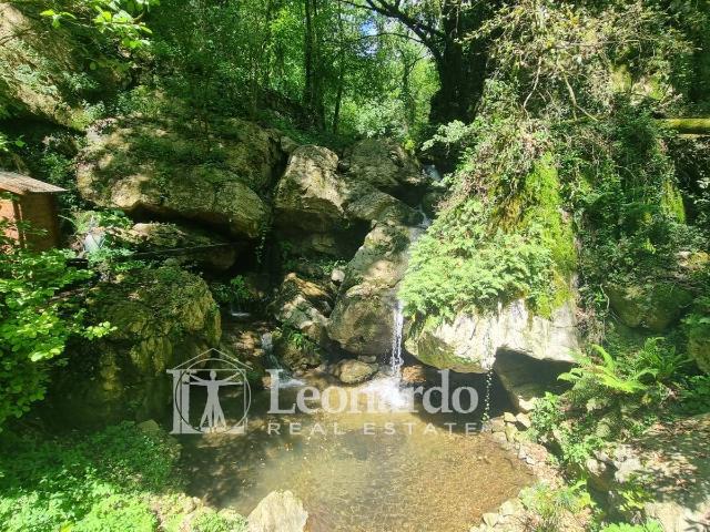 Villa Indipendente in vendita a Brentaccio, Camaiore