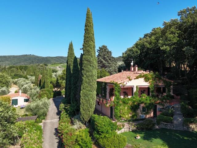 Villa Indipendente in vendita a Bolgheri, Toscana