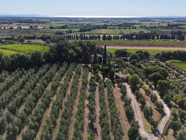 Villa Indipendente in vendita a Bolgheri, Toscana