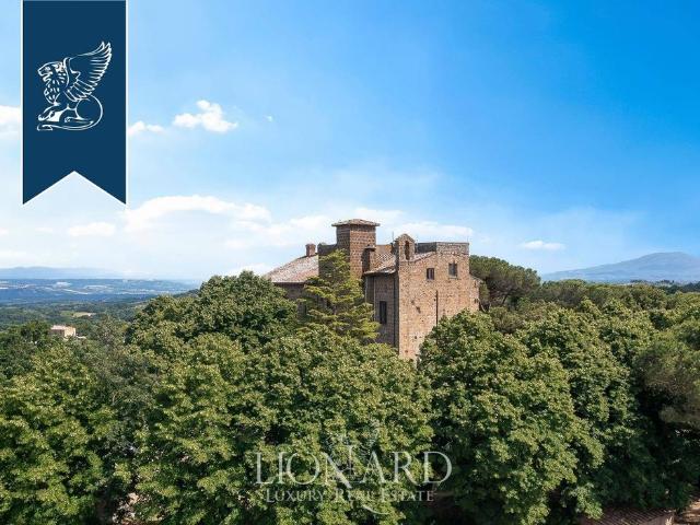 Villa Indipendente in vendita a Civitella D'agliano, Lazio