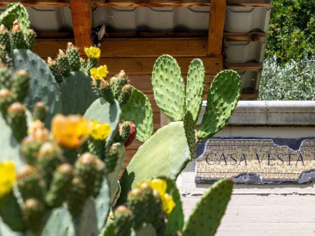 Villa Indipendente in vendita a Villa San Romualdo, Castilenti