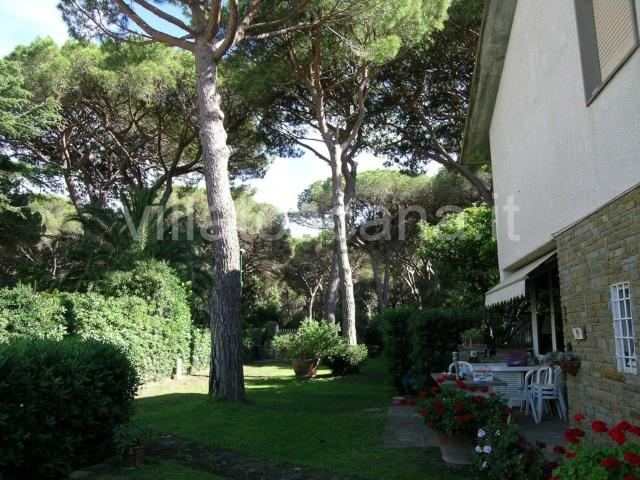Casa in vendita a Castiglione Della Pescaia, Roccamare
