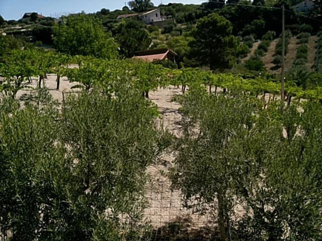 Casa in vendita a San Cataldo, Sicilia