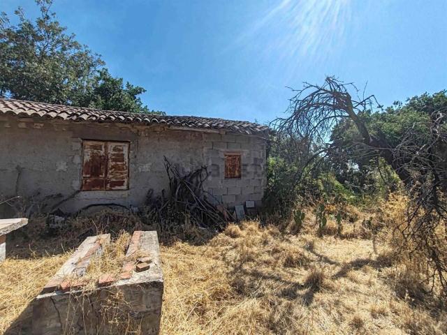 Casa in vendita a Massannunziata, Mascalucia