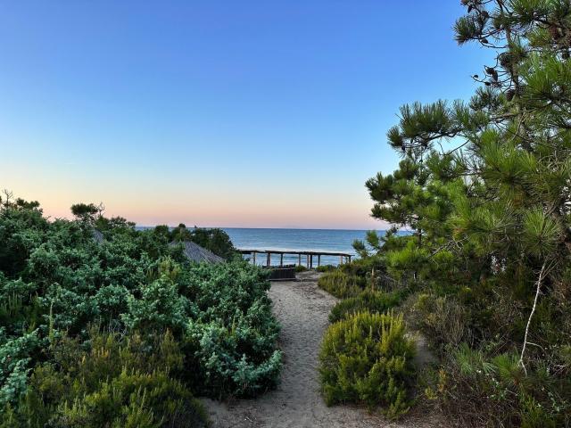 Villa Indipendente in vendita a Castiglione Della Pescaia, Toscana