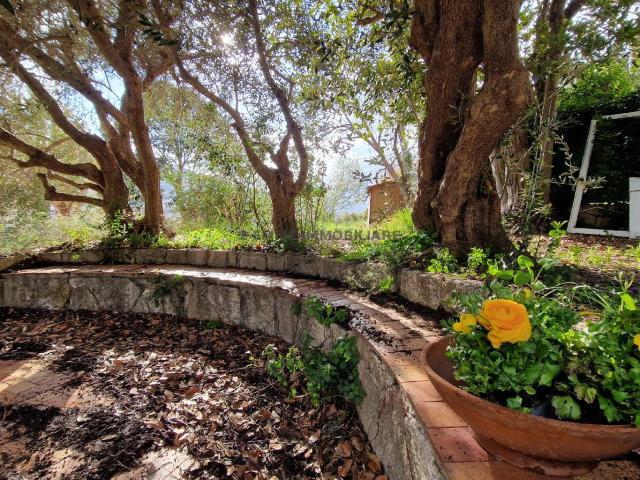 Villa Indipendente in vendita a Borgo Chiaro, Marche