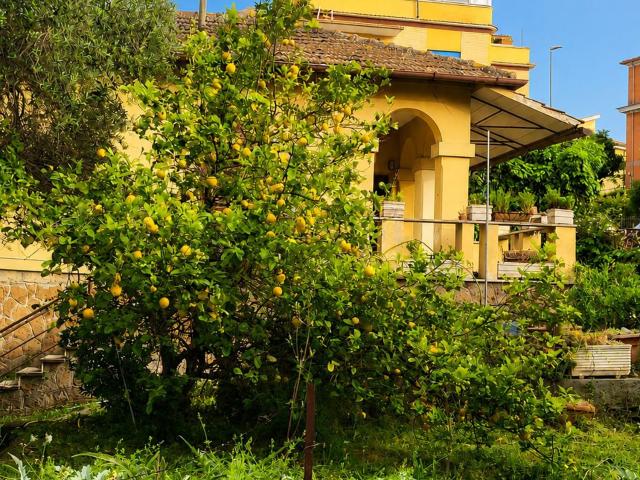 Villa Indipendente in vendita a Municipio Roma IX, Roma Capitale