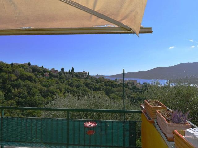 Villa Indipendente in vendita a Sant'Ambrogio, Zoagli