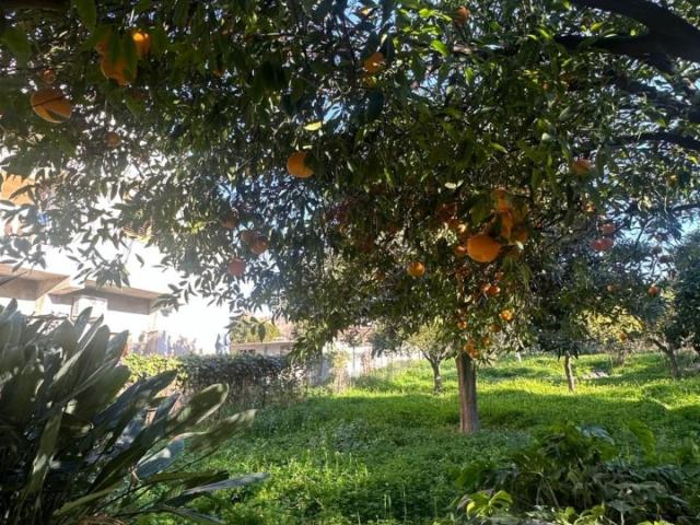 Villa Indipendente in vendita a Annà di Melito, Calabria