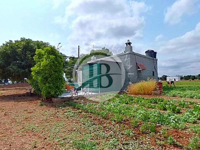 Villa Indipendente in vendita a Savelletri, Puglia