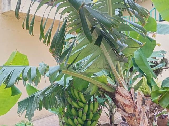 Villa vente à Tanger, Tanger-Tétouan