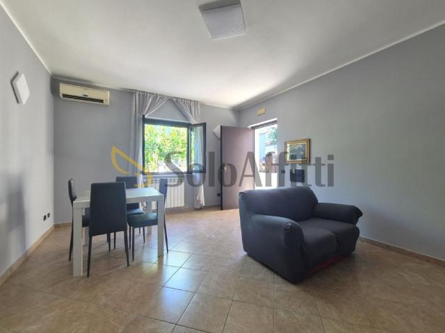 Villa Indipendente in affitto a Santa Maria, Calabria