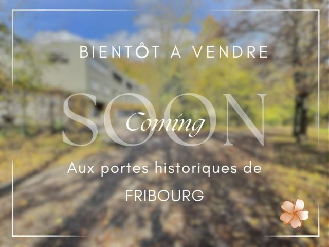 Haus kaufen in Fribourg, Freiburg