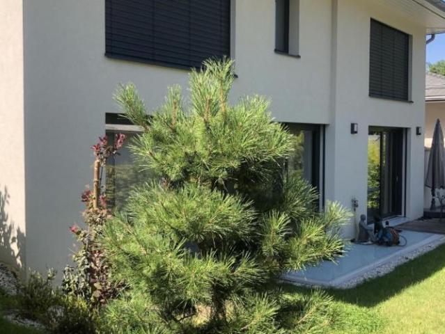 Haus mieten in Lancy