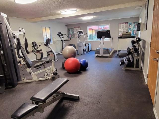 Apartment for rent in Bellflower, California
