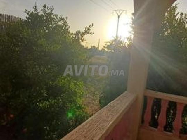 Propriété vente à Anfa, Sidi Moumen