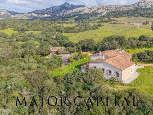 Villa Indipendente in vendita a Arzachena