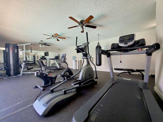 Apartment for rent in Jacumba, California