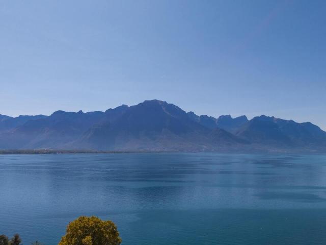 Haus kaufen in Chailly-Montreux, Waadt