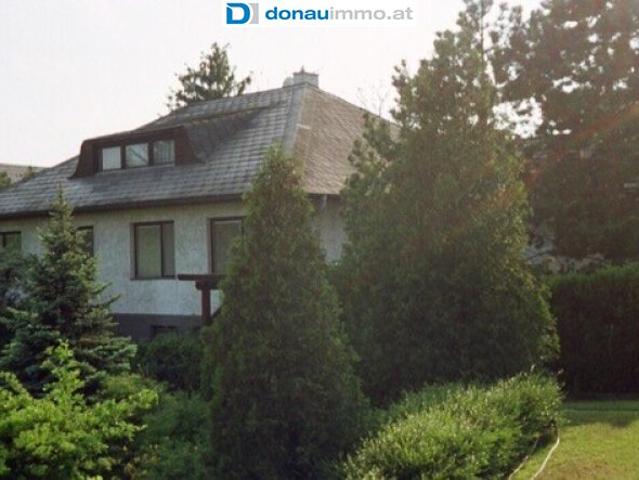 Haus kaufen in Tribuswinkel