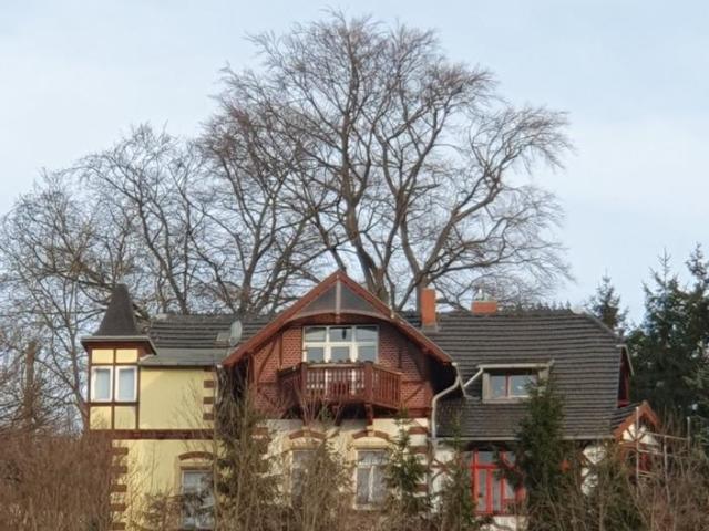 Haus kaufen in Meißen, Sachsen