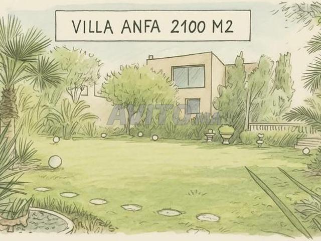 Propriété vente à Anfa, Sidi Belyout