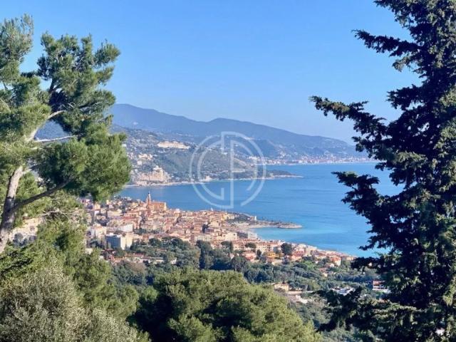 Maison vente à Nice, Roquebrune-cap-martin