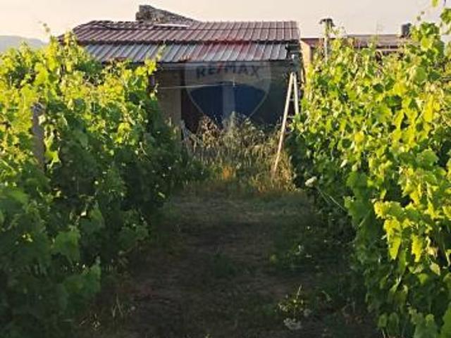 Villa Indipendente in vendita a Mineo, Sicilia