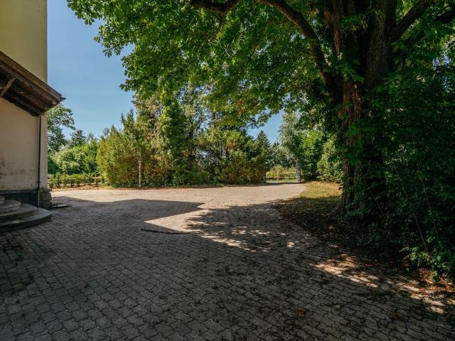 Einfamilienhaus kaufen