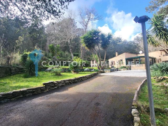 Villa vente à Bastia, Rogliano