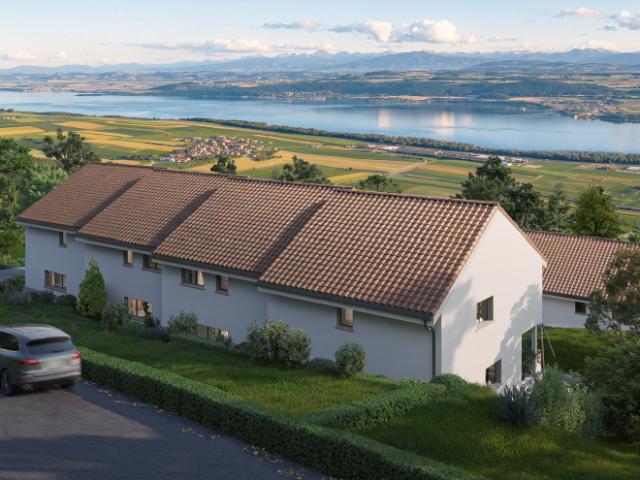 Haus kaufen in Tévenon, Waadt
