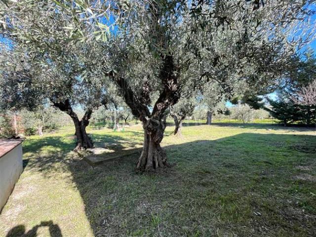 Villa Indipendente in vendita a Puglia, Foggia