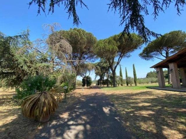 Villa Indipendente in vendita a Monte Migliore, Roma Capitale