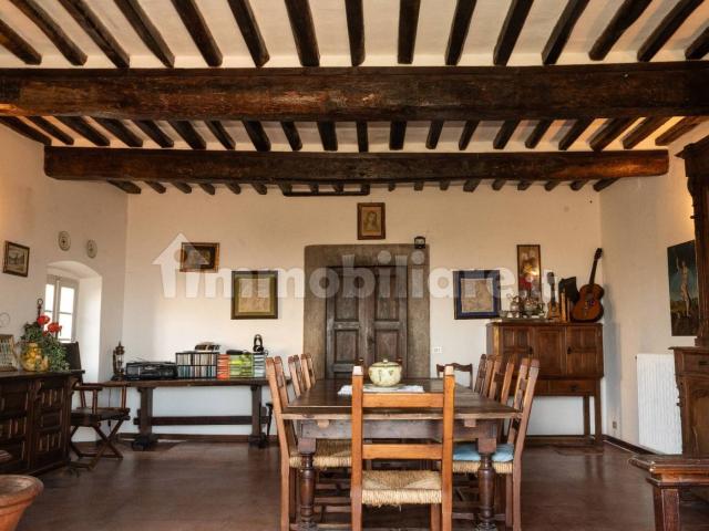 Villa Indipendente in affitto a Unione dei Comuni Circondario dell'Empolese Valdelsa, Vinci