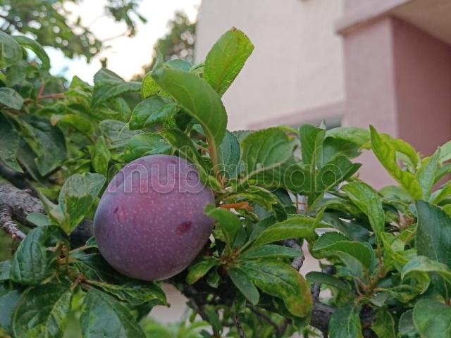 Villa vente à Anfa, Gharb-Chrarda-Beni Hssen