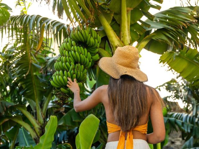 Estúdio alugar em Fajã da Pedra, Paul Do Mar