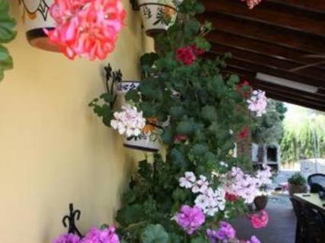 Casa en alquiler en Pozo Alcón, Andalucía