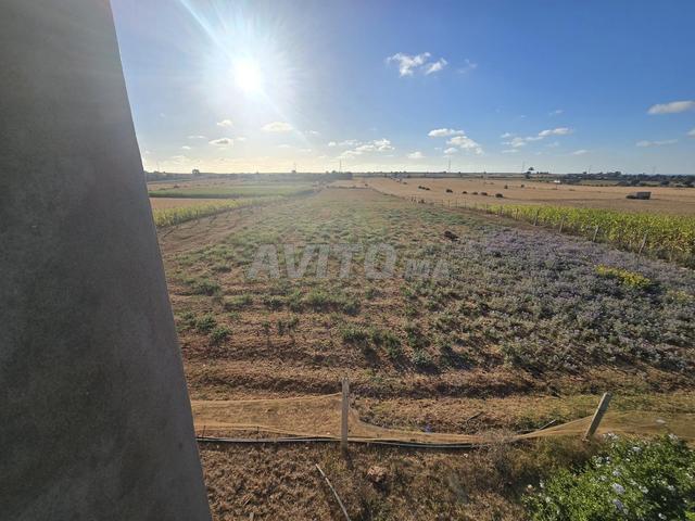 Propriété vente à El Ma, Gharb-Chrarda-Beni Hssen