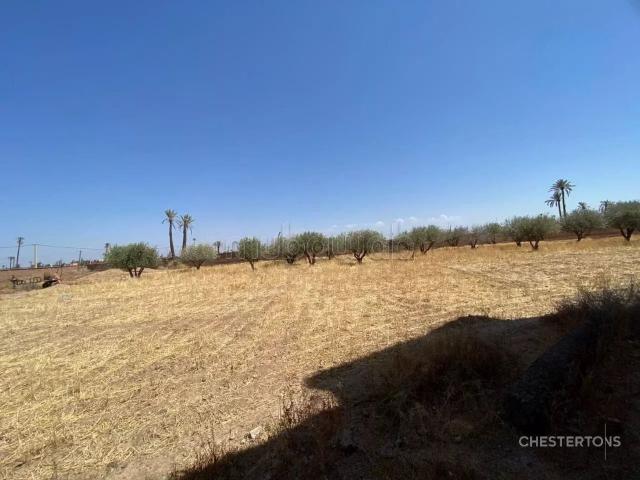 Villa vente à Marrakech, L'Oriental