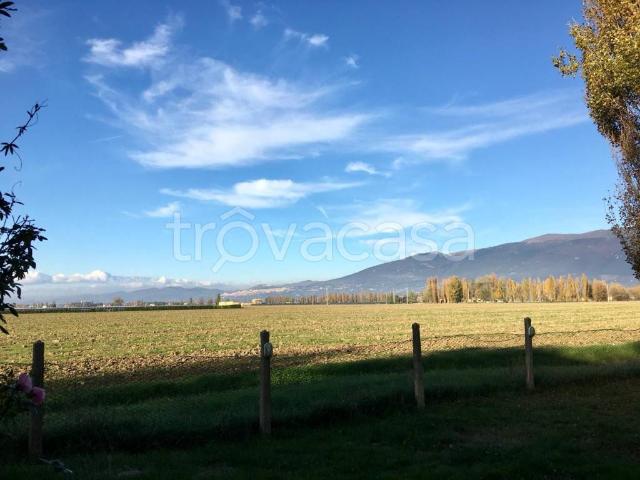 Villa Indipendente in affitto a Cannara, Umbria