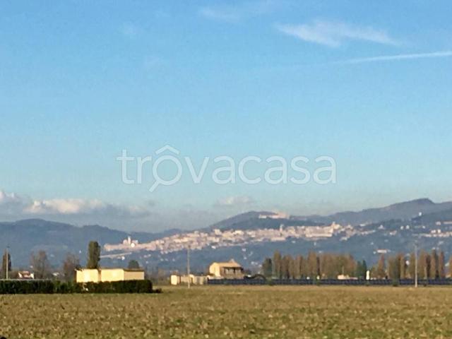 Villa Indipendente in affitto a Cannara, Umbria