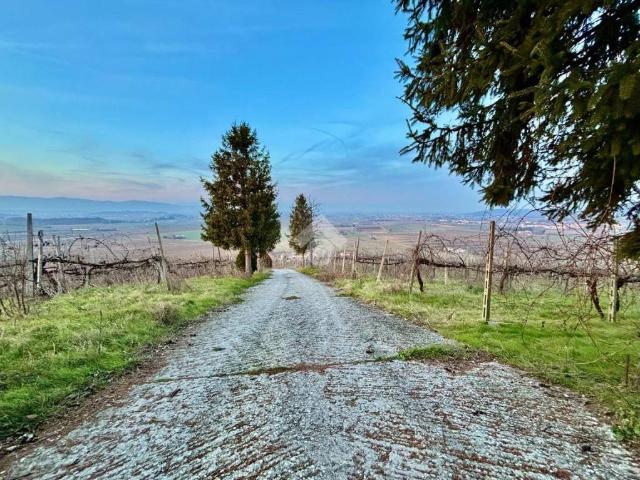 Villa Indipendente in affitto a Albettone, Veneto