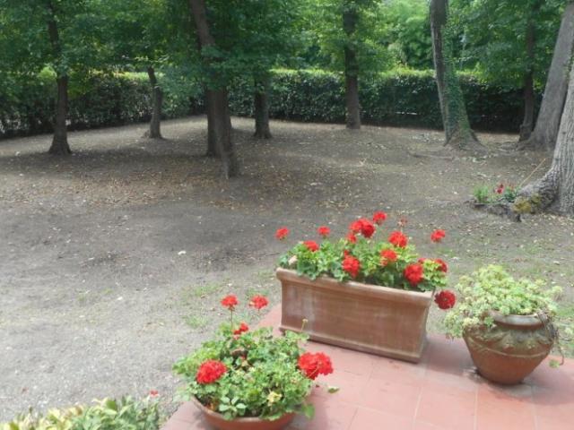 Villa Indipendente in affitto a Marina di Massa, Marina Di Massa