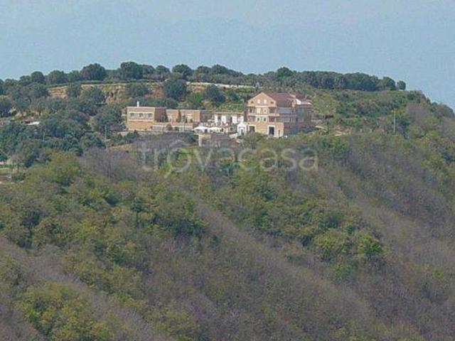 Villa Indipendente in affitto a Calabria, Reggio Calabria