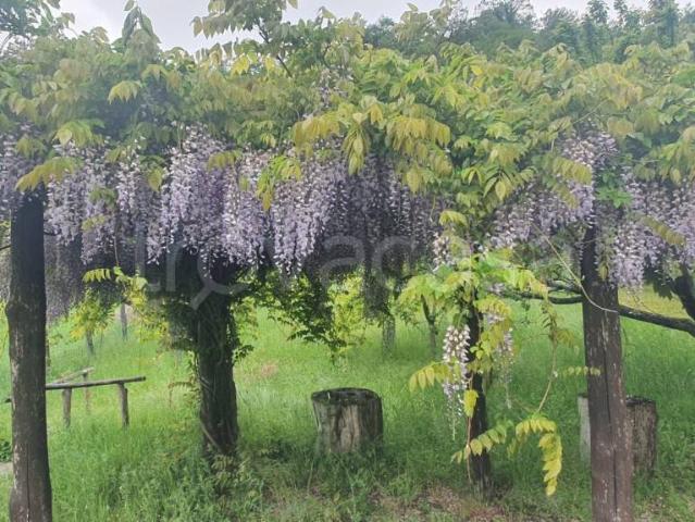 Villa Indipendente in vendita a Bagno Di Romagna, Reggio Emilia