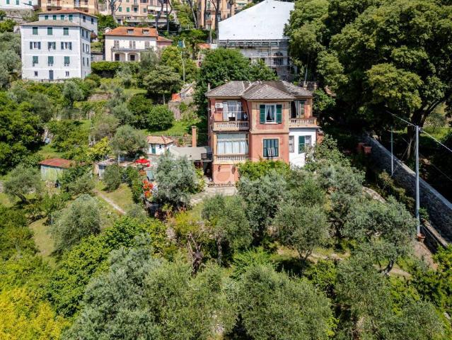 Villa Indipendente in vendita a Il Boschetto, Camogli