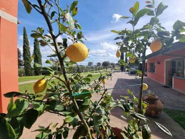 Villa Indipendente in vendita a Unione dei Comuni Circondario dell'Empolese Valdelsa, Castelfiorentino